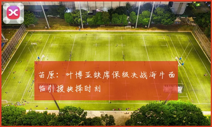 苗原：叶博亚缺席保级决战海牛面临引援抉择时刻